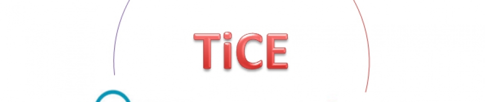 Lanzamiento del Portal Colaborativo TiCE (Tarificación y Certificación Energética)